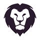LionCoders