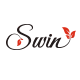 Swin-theme