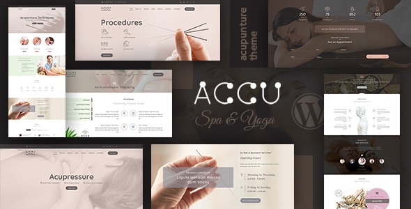 Accu 3.8 - Healthcare Massage WordPress Theme