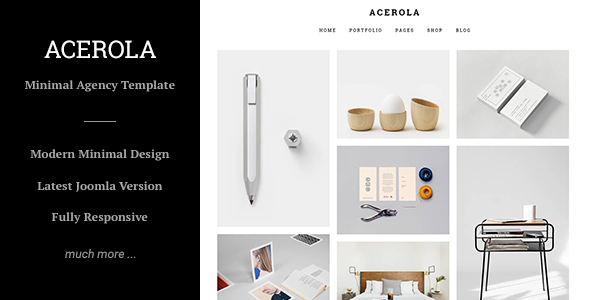 Acerola - Ultra Minimalist Agency Portfolio & Photography Joomla Template