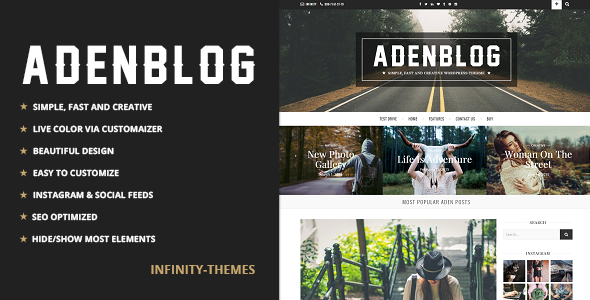 Aden 3.1 - A WordPress Blog Theme