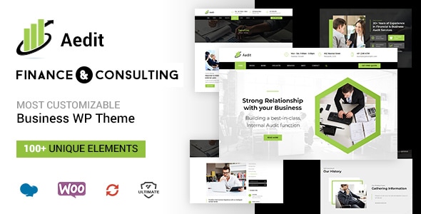 Aedit 3.0 - Corporate Consulting WordPress Theme
