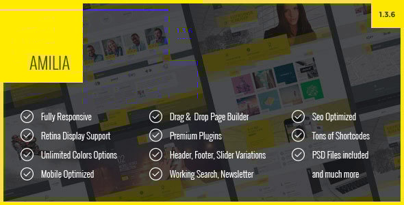 Amilia - Multipurpose One & Multi Page WP Theme