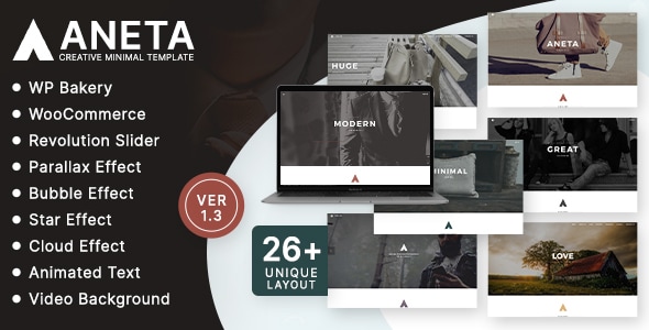 Aneta 1.0.5 - Agency Startup  Agency WordPress Theme