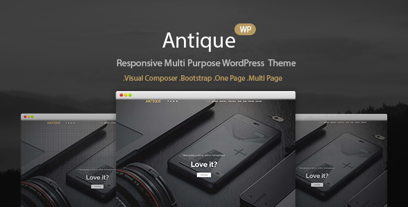 Antique 3.0 - Responsive Personal Portfolio WordPress Theme