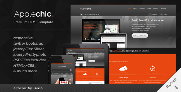 Applechic 2.0 - Responsive Software HTML Template