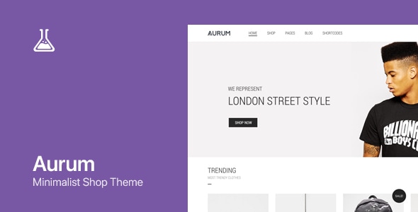 Aurum 6.9 WordPress & WooCommerce Shopping Theme