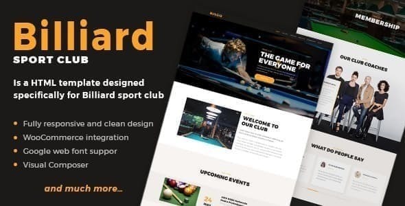 Billiard 1.1.8 - Creative Sporting  WordPress Theme
