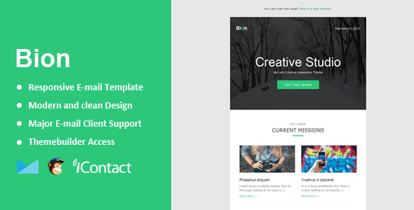 Bion - Responsive Email  Themebuilder Access