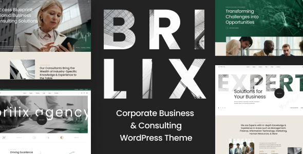 Brilix 1.0.6 - Corporate Business & Consulting WordPress Theme