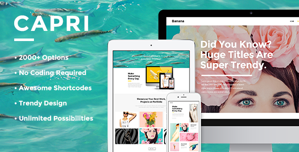 Capri 3.4 - Creative Portfolio WordPress Theme