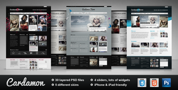 Cardamon - Multipurpose HTML Template