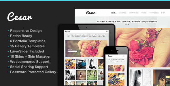 Cesar 1.0 - Photography WordPress