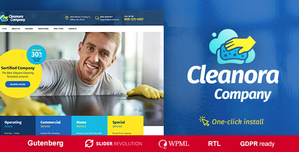 Cleanora 1.2.5 - Cleaning Services WordPress Theme