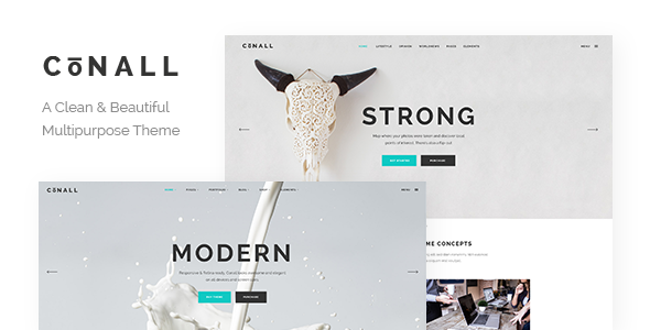 Conall 2.5 - Clean Multipurpose WordPress Theme