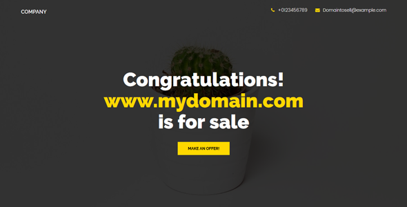 Domain 1.0 - For Sale Template