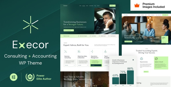 Execor 6.9 - Accounting and Management Consulting WordPress Theme