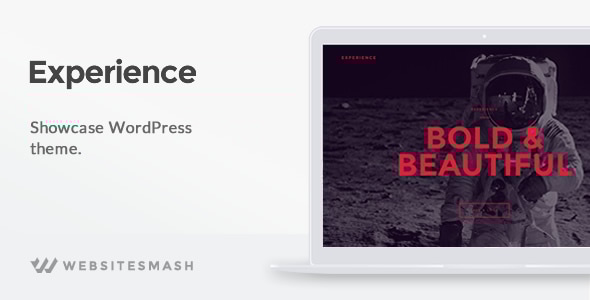 Experience 1.2 - Showcase WordPress Theme