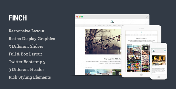 Finch  Photography Template for Photographers