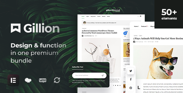 Gillion 4.13 Multi-Concept BlogMagazine & Shop WordPress AMP Theme