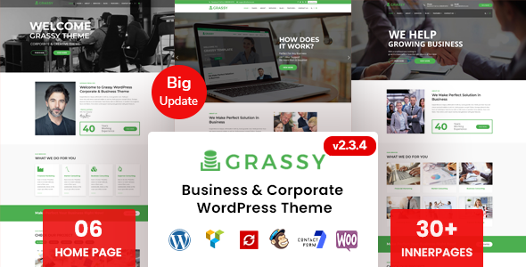 Grassy 2.3.1 - Business WordPress Theme
