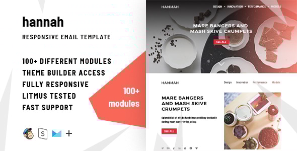 Hannah  100 Responsive Modules  StampReady MailChimp and CampaignMonitor compatible files