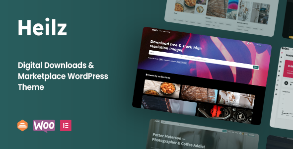 Heilz 2.9.0 - Digital Downloads & Marketplace WordPress Theme