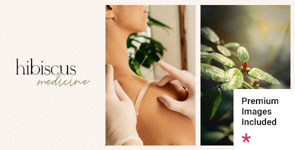Hibiscus 1.3.2 - Alternative Medicine and Organic Shop WordPress Theme