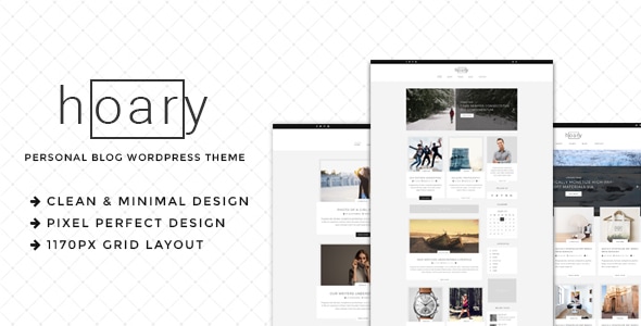 Hoary 1.1 - Minimal Blog WordPress Theme