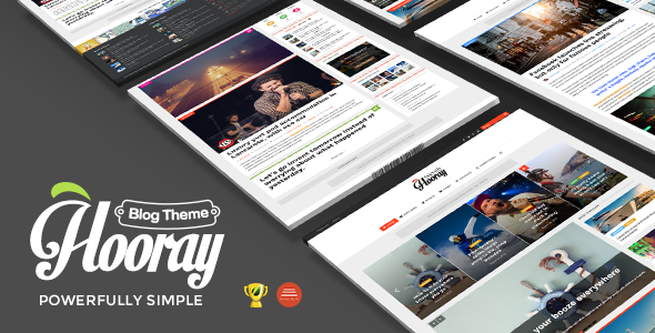 Hooray  Blog WordPress theme for Professional Writers