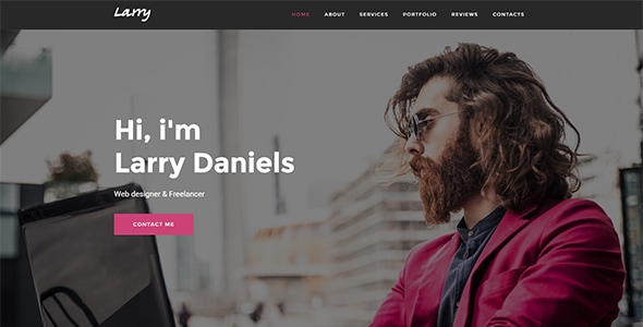 Larry. 1.1 - Personal Onepage WordPress Theme