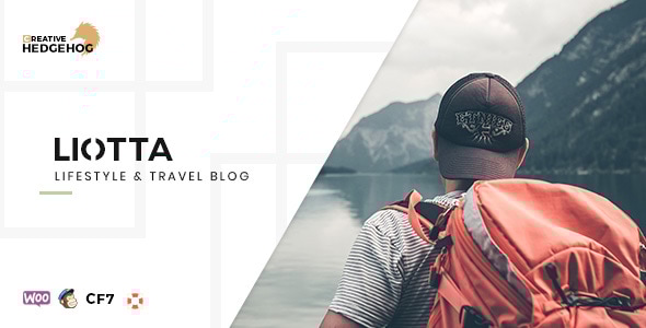 Liotta 1.1.3 - a Responsive Blog Theme For WordPress