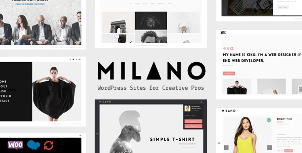 Milano 10 - Creative Minimal Portfolio & Photography WordPress Theme