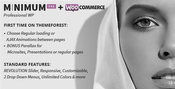 MINIMUM 4.4 - Professional WordPress Theme
