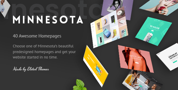 Minnesota 2.0 - Professional WordPress Theme