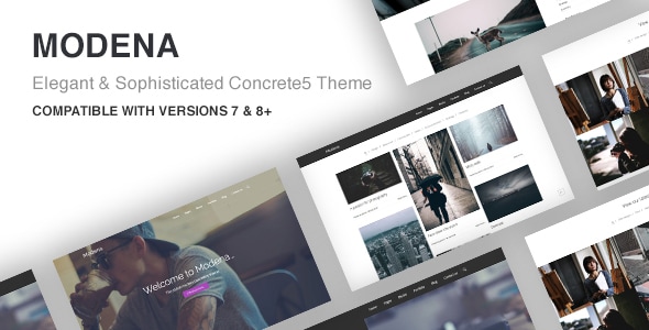 Modena 1.2.3 - Multi-purpose Concrete5 Theme