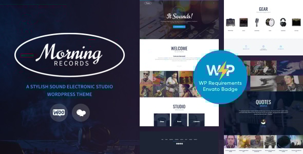 Morning Records 1.3.6 - Radio Music Sound Studio WordPress Theme