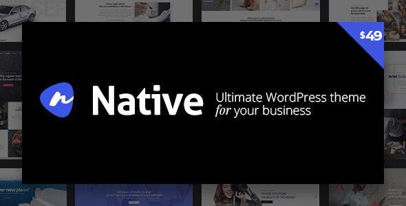Native 1.7.12 Stylish Multi-Purpose Creative WP Theme
