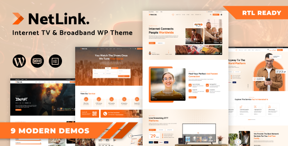 Netlink 1.0 - Broadband TV & Internet Provider WordPress Theme