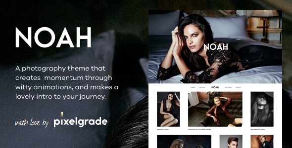 NOAH 1.3.0 - A Witty Photography WordPress Theme