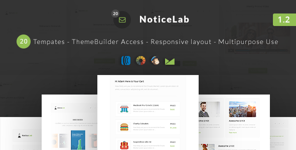 NoticeLab 1.2 - Email Notification Templates  Builder
