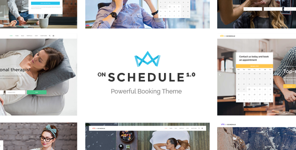 OnSchedule 1.8 - Retail Booking WordPress Theme