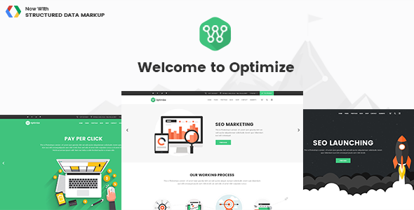 Optimize 2.4 SEO & Social Media WordPress Theme