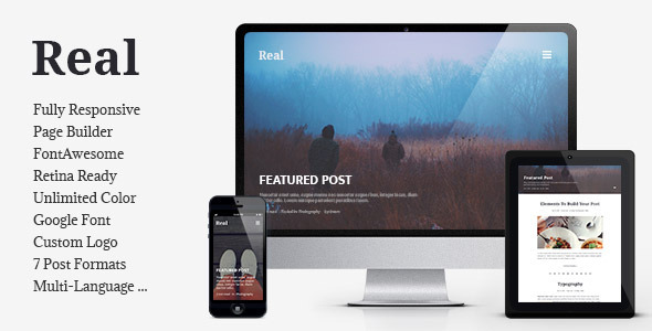 Paid membership Blog 1.4.7 - REAL WordPress Theme