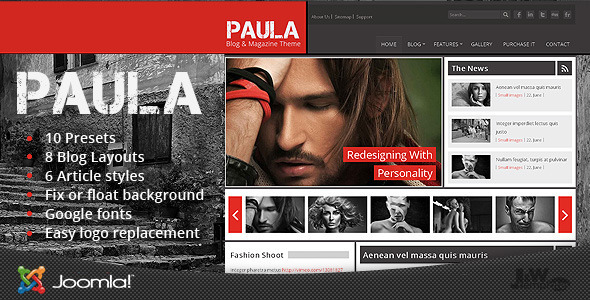 Paula 1.1 - Blog & Magazine Joomla Theme