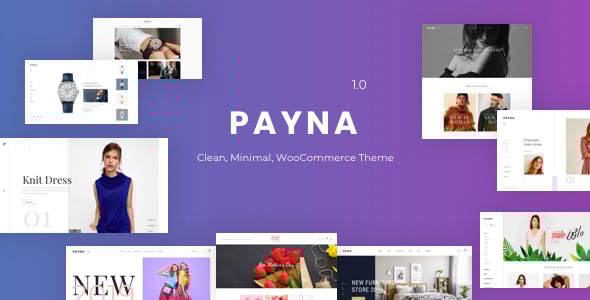 Payna 1.2.8 - Minimal WooCommerce Theme