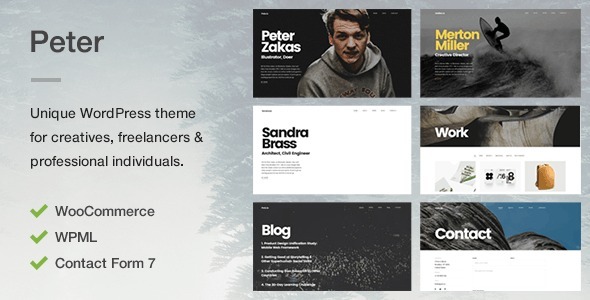 Peter - A Unique Portfolio Theme for Creatives Freelancers & Professional Individuals