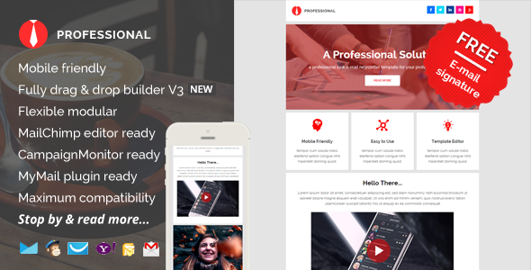 Professional 4.1.2 - E-mail Newsletter Pack
