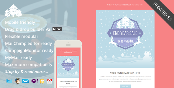 Promo 3.0 - Holiday Email Template  Builder Access