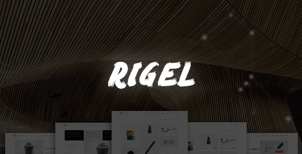 Rigel 1.1.0 - Ultimate Agency & Portfolio Theme